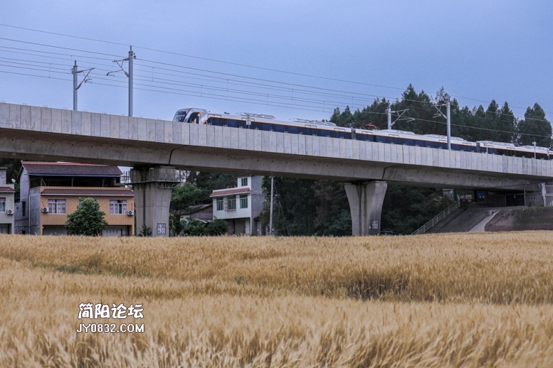 3C7A4458.jpg