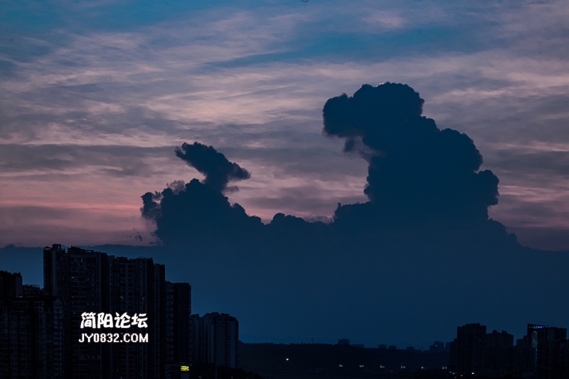 3C7A5513.jpg