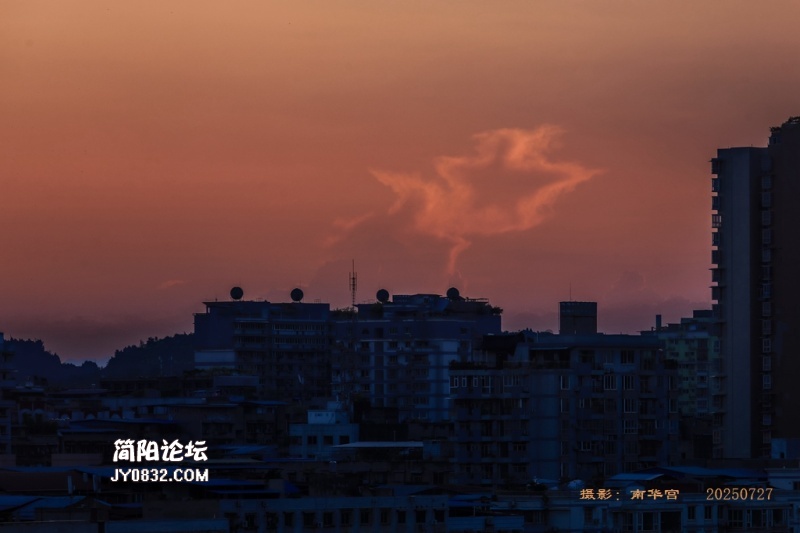 3C7A5620.jpg