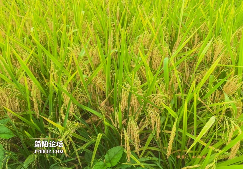 新胜村6.jpg