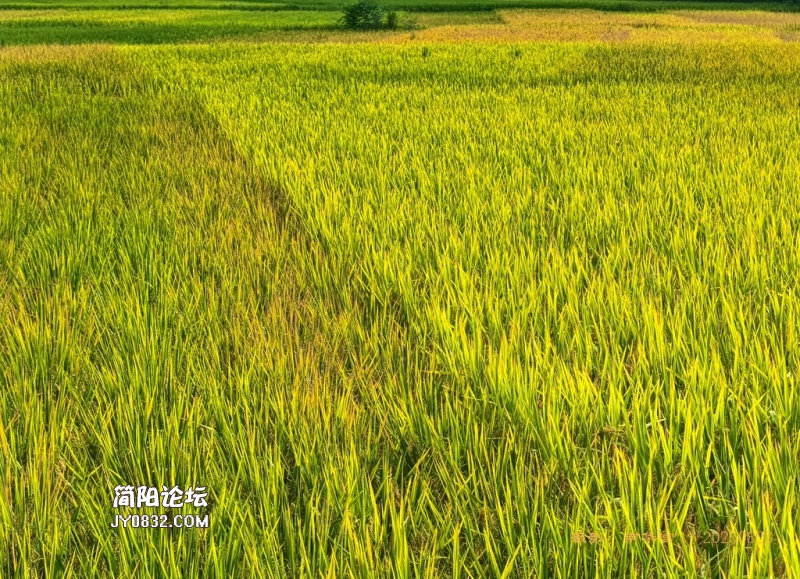 新胜村8.jpg