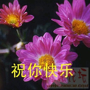 27839C68C2ACC5C9CCD0FC0CE46C101F.JPG