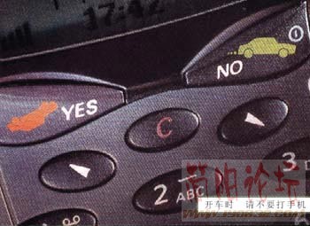 27_4809.jpg