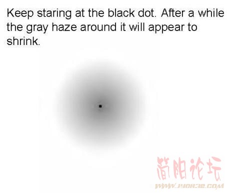 2922493.jpg