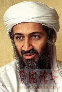 3318241.jpg