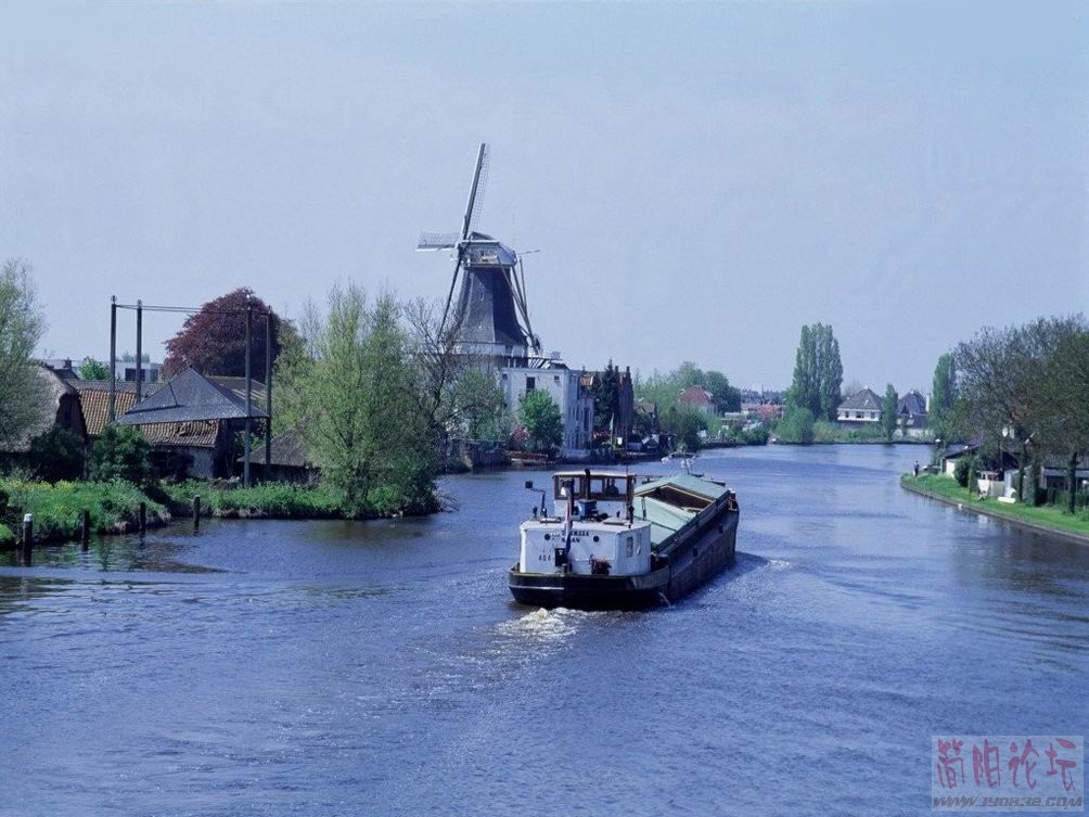 363109.jpg