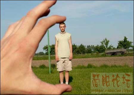 3645336.jpg