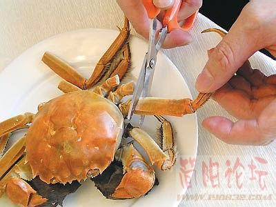 剪掉大闸蟹的八只脚，包括两只大钳，放凉后其中的肉会自动与蟹壳分开，很容易被捅出甚至是被吸出，因此要 .