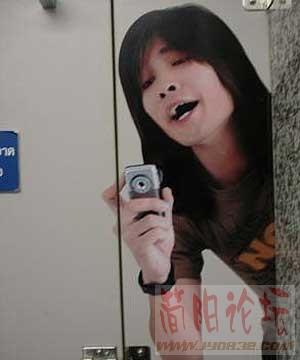 3_9254.jpg