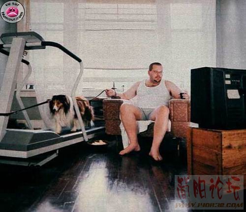 4706596.jpg