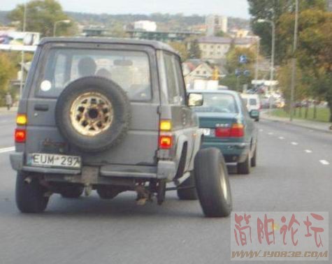 5082371.jpg
