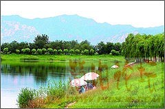 青山绿水，环境多好