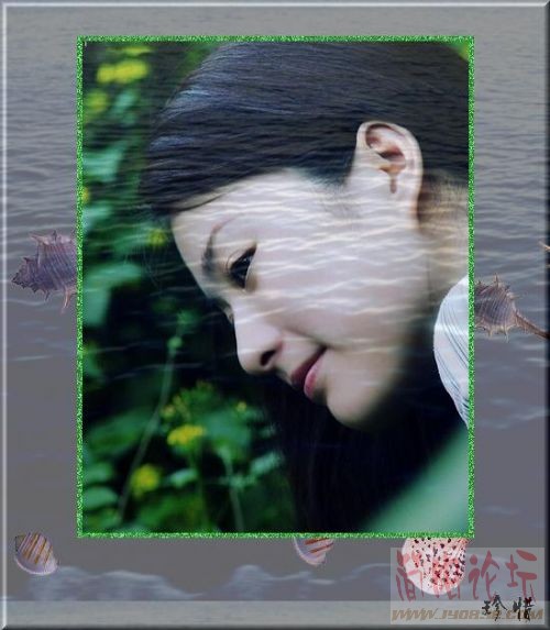 784.jpg