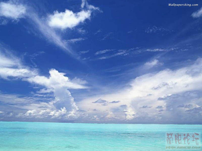 800x600_003.jpg