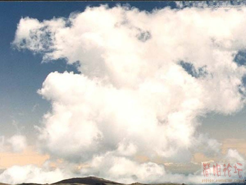 800x600_006.jpg