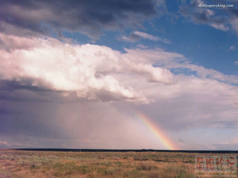 800x600_010.jpg