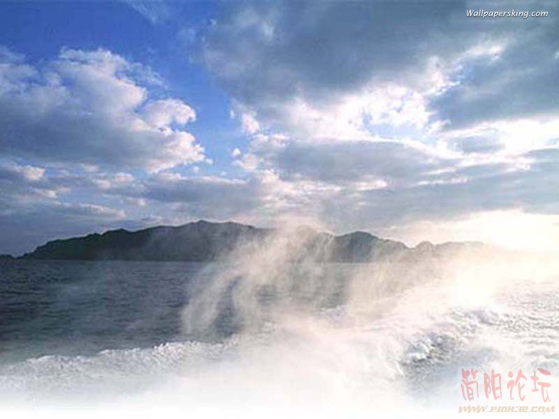 800x600_012.jpg