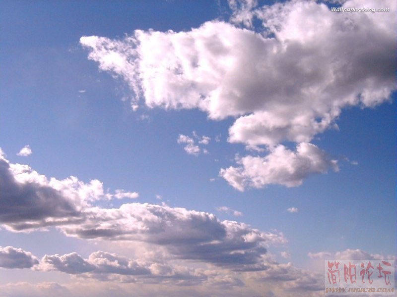 800x600_023.jpg