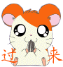 85594CE824CC8C1CF51B3FD4F138B943.gif