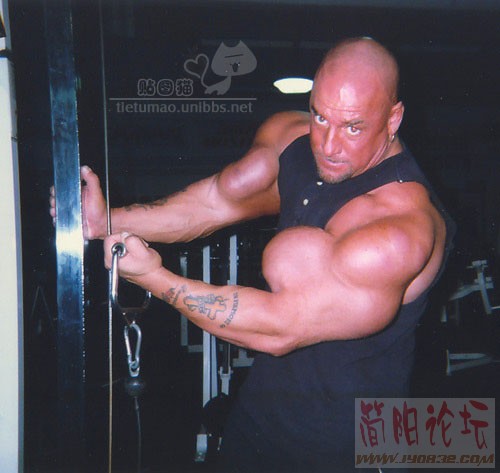 925040.jpg