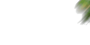 9723B1B70E3B09FA0A6FA3BC5906DBD2.JPG