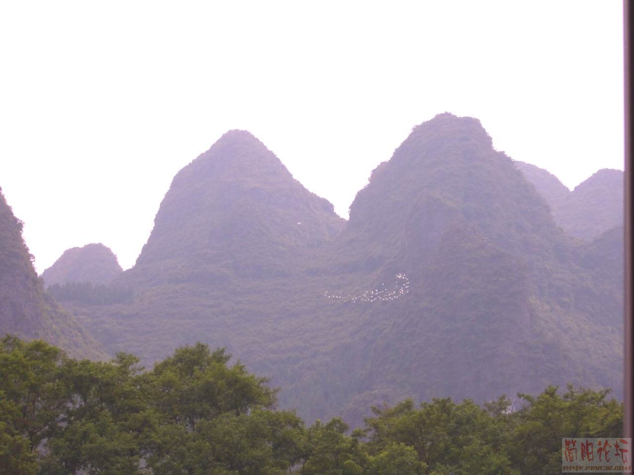 CIMG0202.JPG