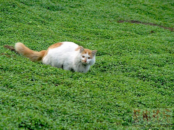 DSC08225.JPG