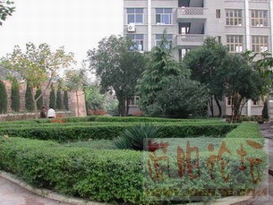 风景这里独好（2）