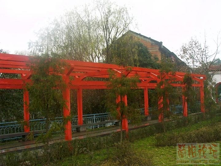 IMAG0007.JPG