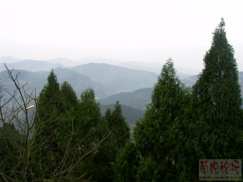 IMAG0026.JPG