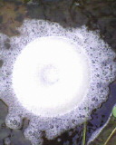IMG0359A.jpg