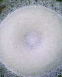 IMG0360A.jpg