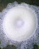 IMG0361A.jpg