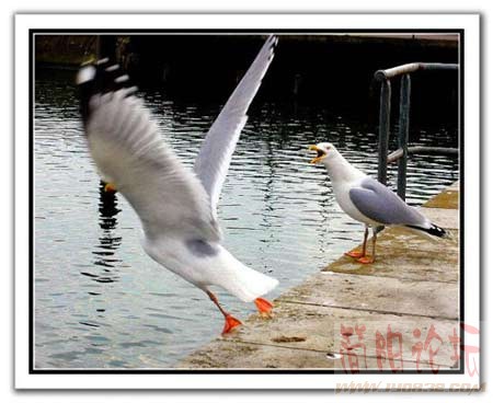 Img223108828.jpg