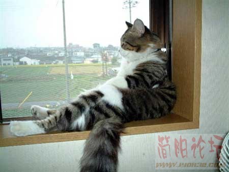Img223213290.jpg