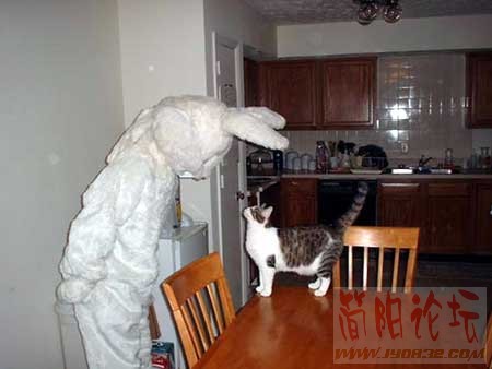 Img223213292.jpg