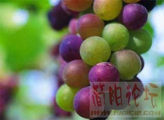 Img246376455.jpg