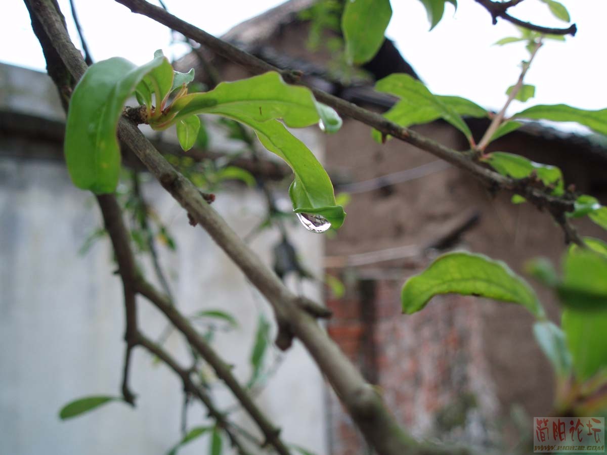P8210083.JPG