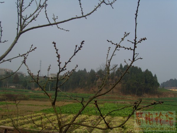 SNV32371.JPG