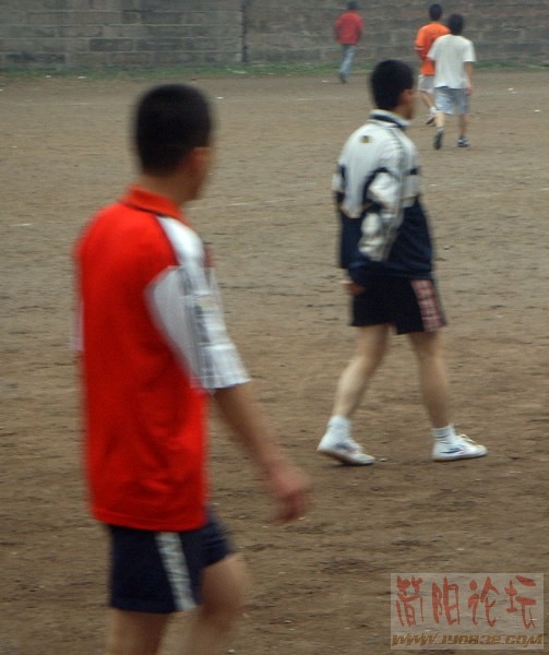 SSL16239.JPG