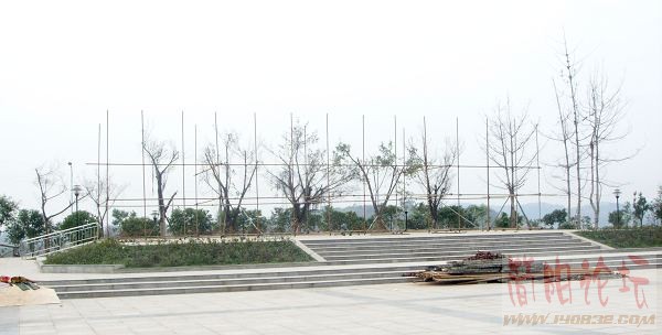 SSL16442.JPG