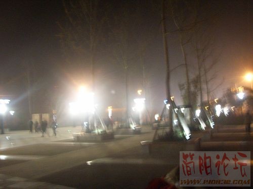 SSL16682.JPG