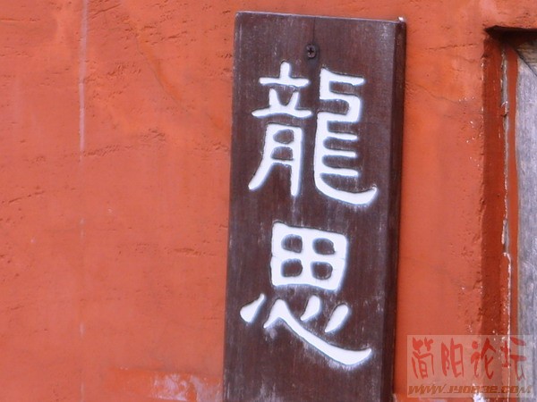 SSL21429.JPG