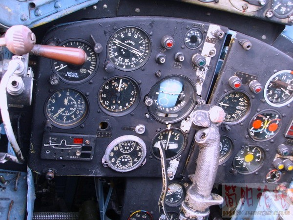 SSL21448.JPG