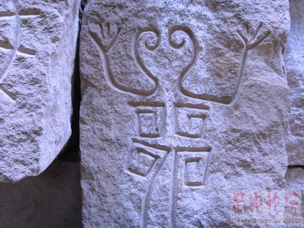 SSL21463.JPG