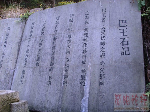 SSL21477.JPG