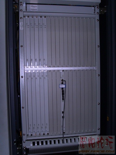 SSL21536.JPG