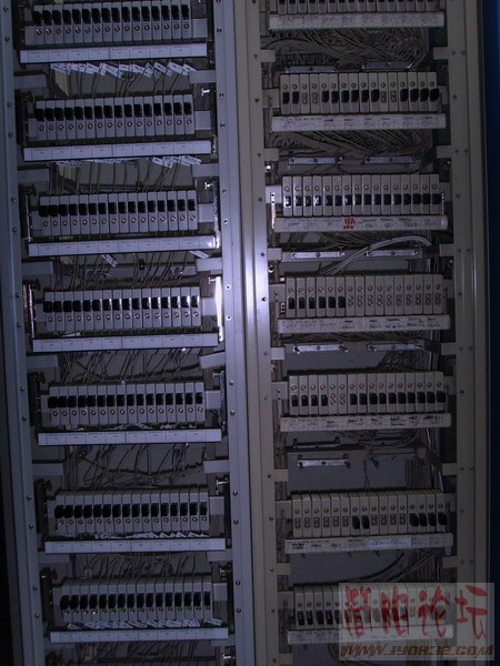 SSL21553.JPG