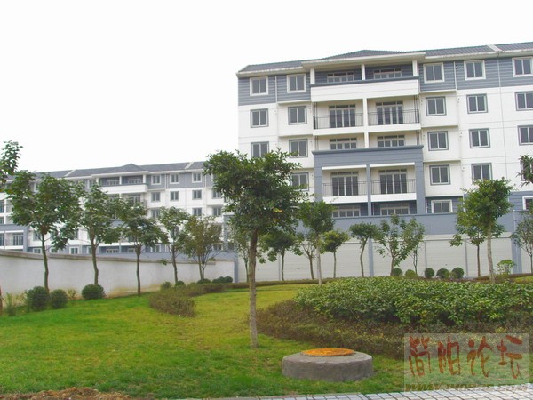 SSL27419.JPG