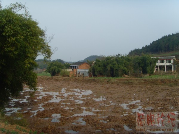 SNV31330_副本.JPG